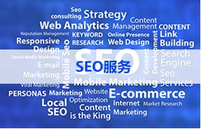 SEO服务