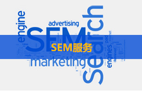 SEM服务